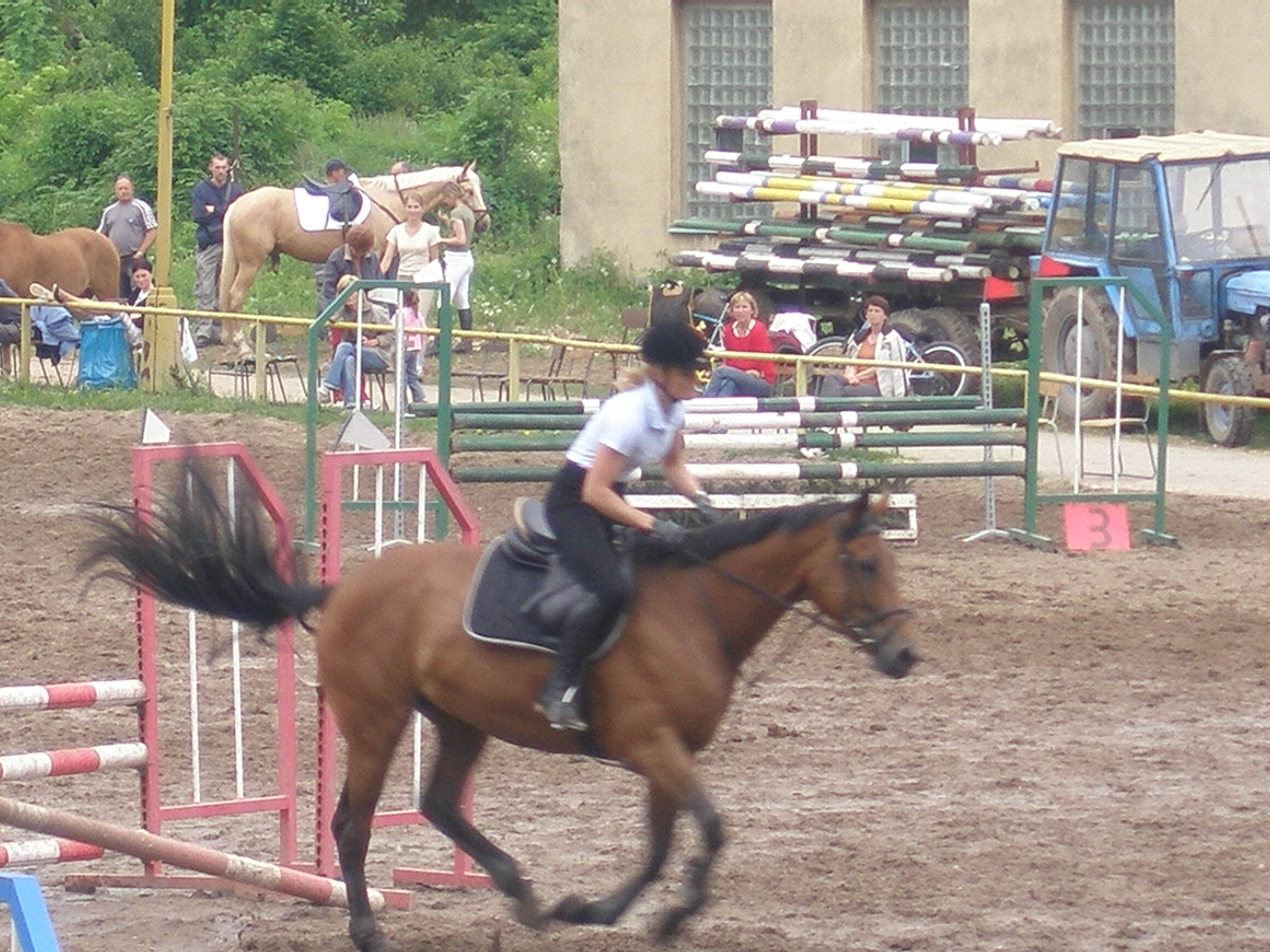 P5241000.JPG