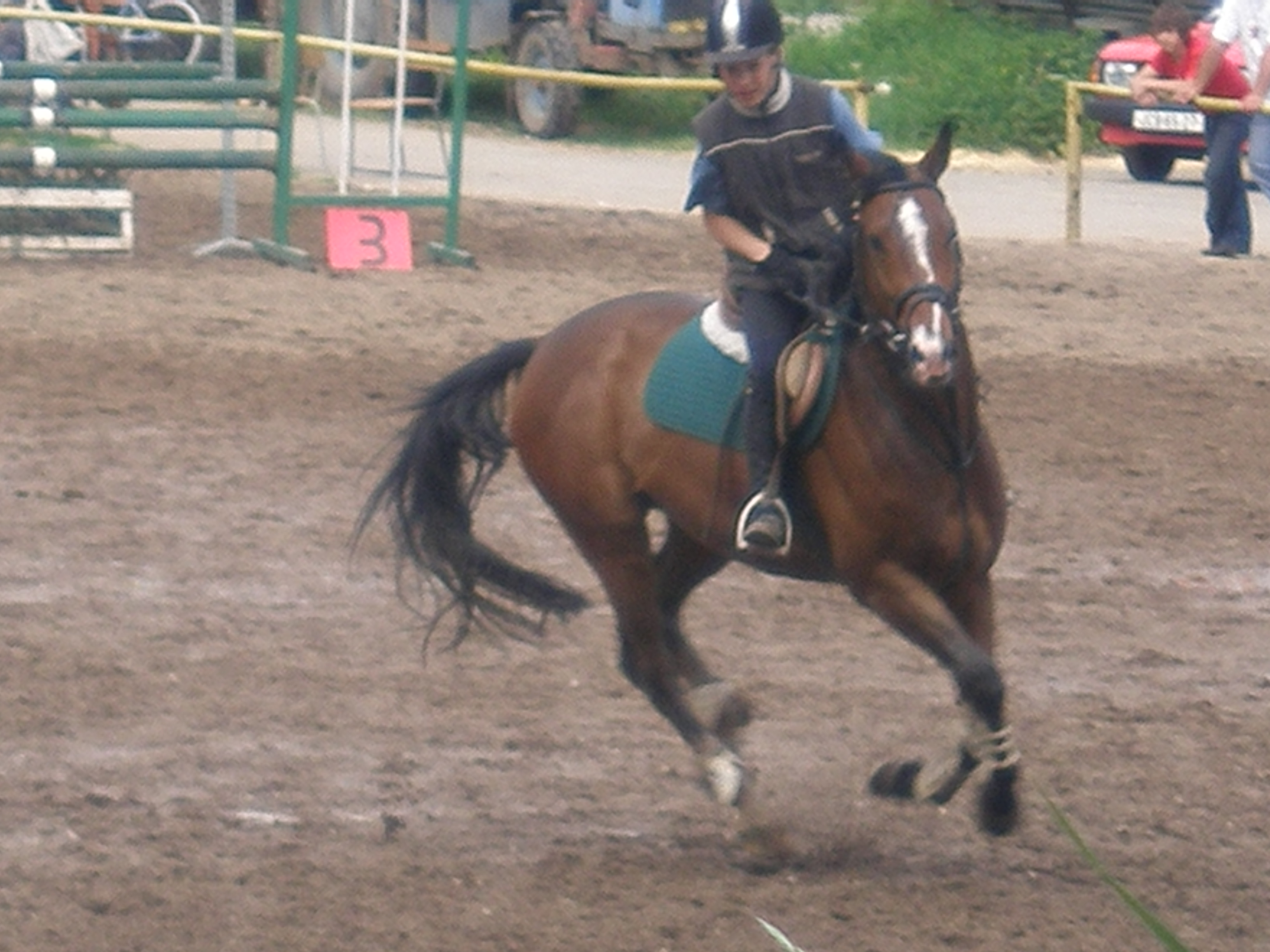 P5240990.JPG