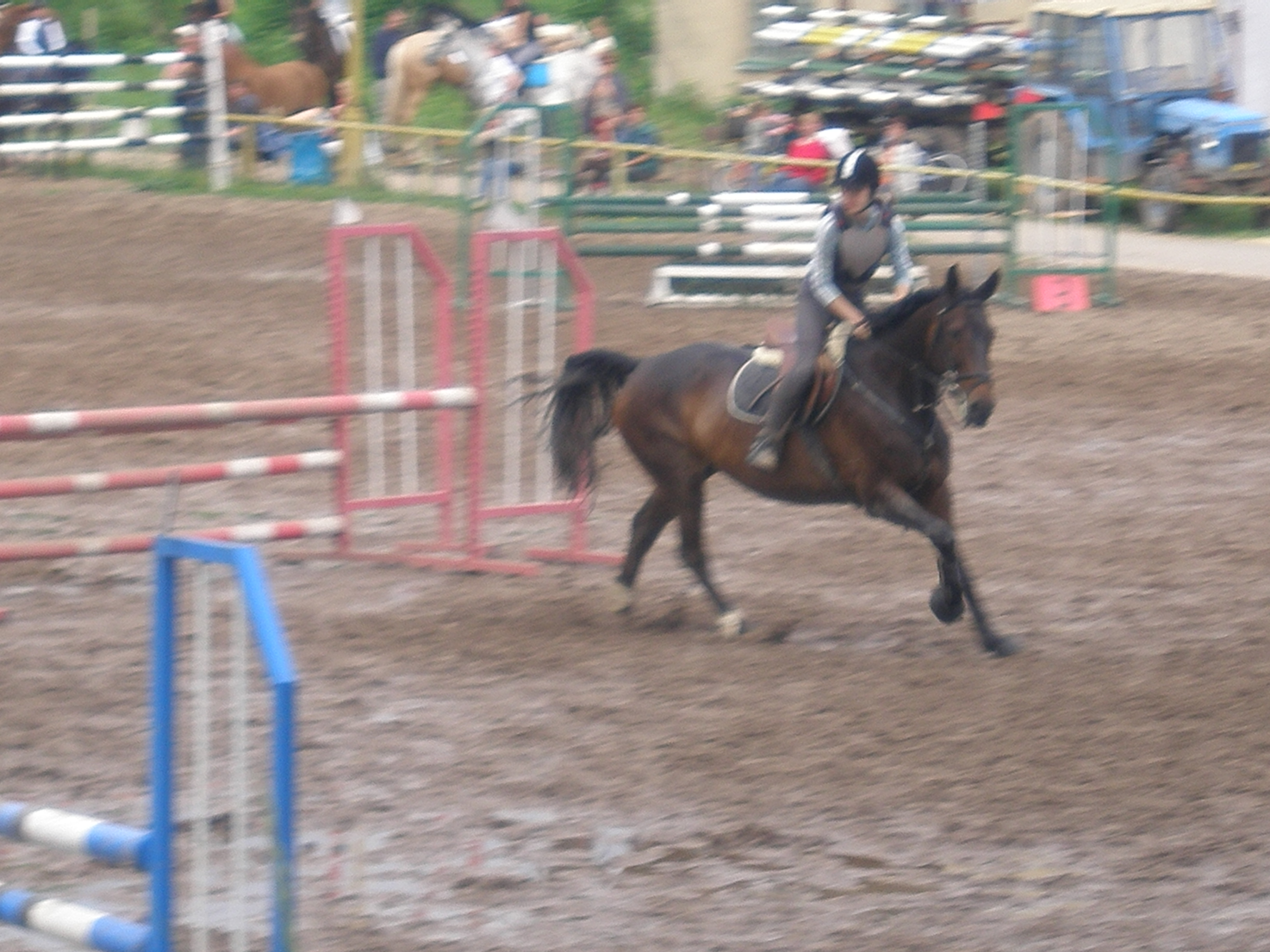 P5240993.JPG