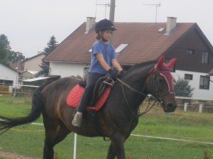 Obrazek